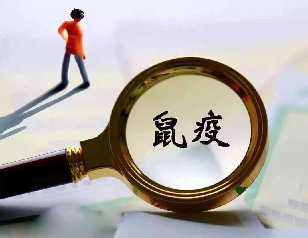 甲类传染病：鼠疫